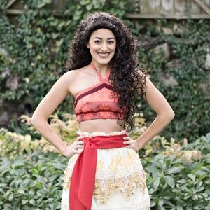 Disneys Moana Costume, Halloween Costume, Theme Party